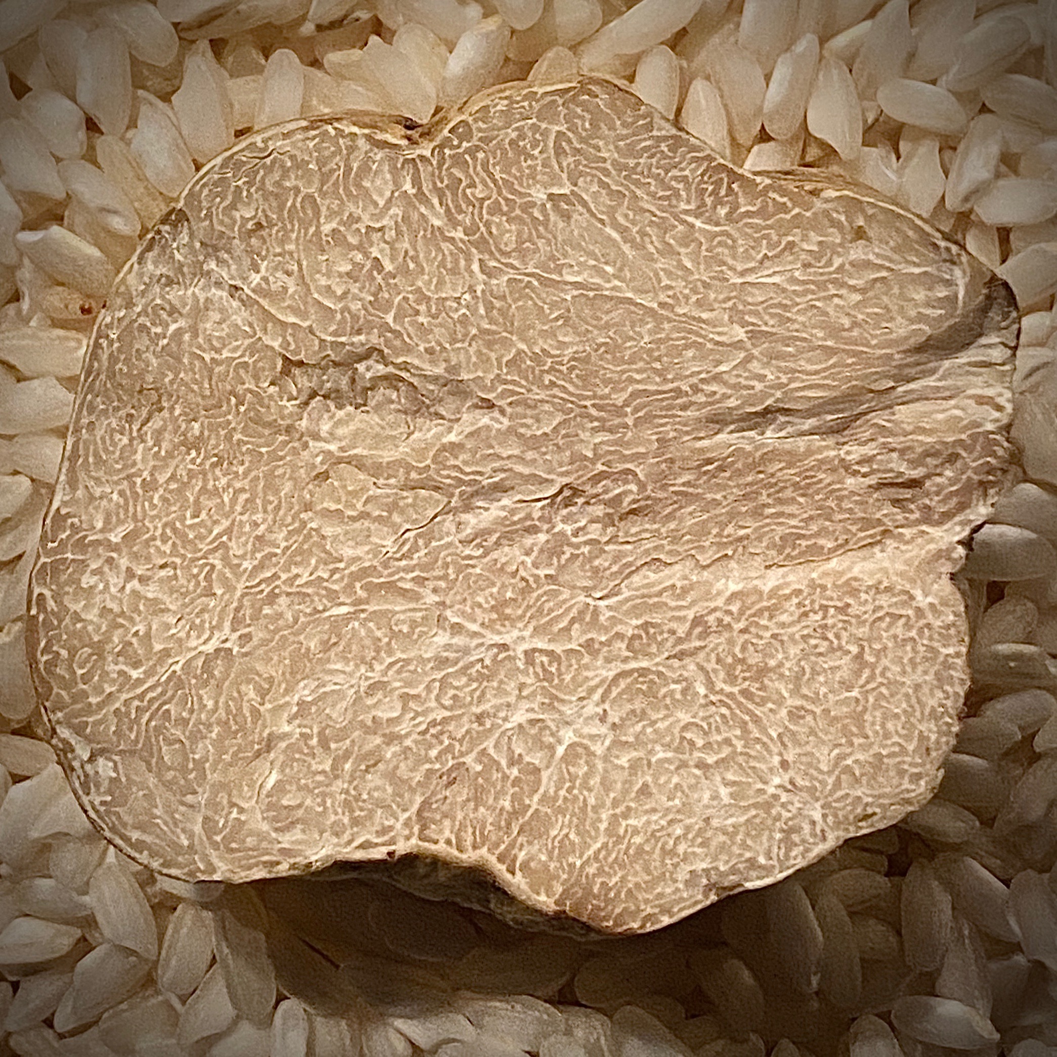 a sandwich cut in half