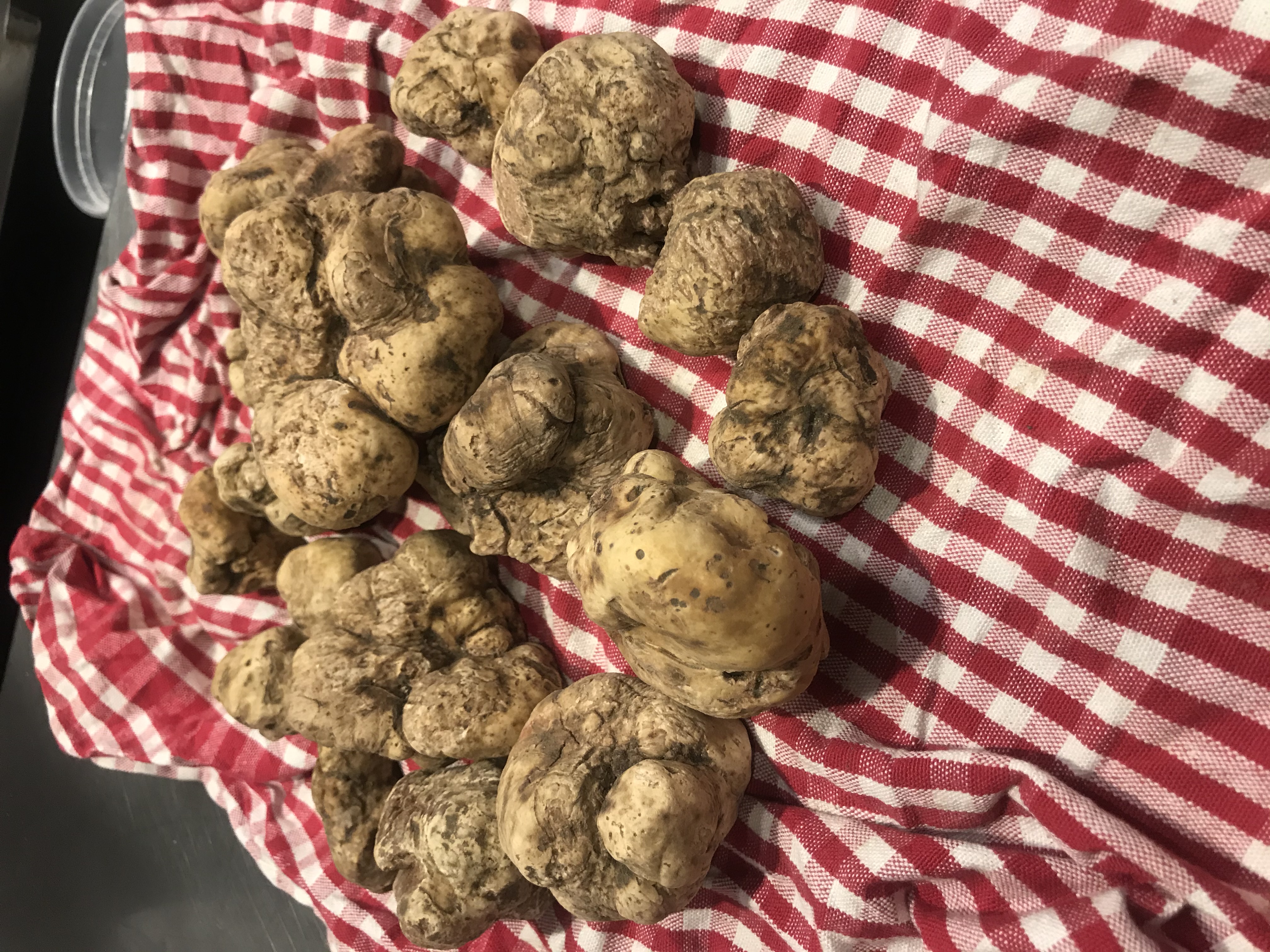 a group of fruit and vegetables