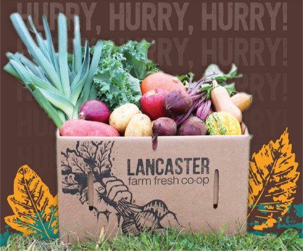 a box filled with fruit