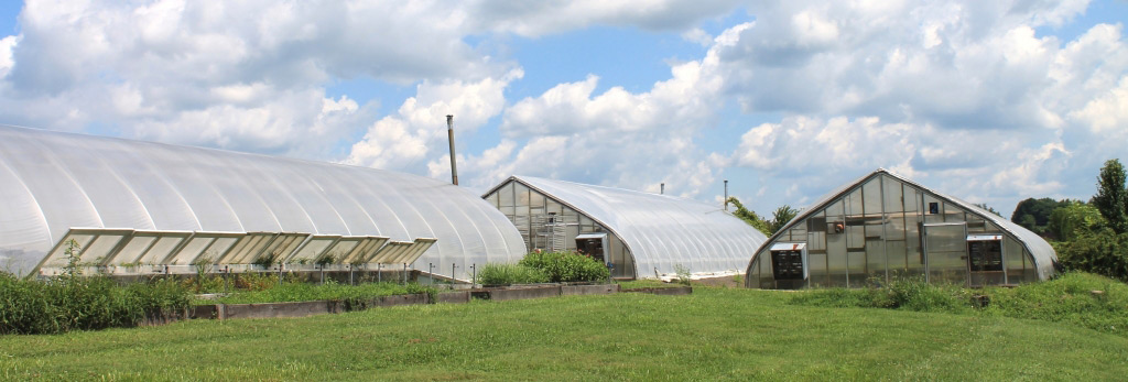 a large building with a grassy field