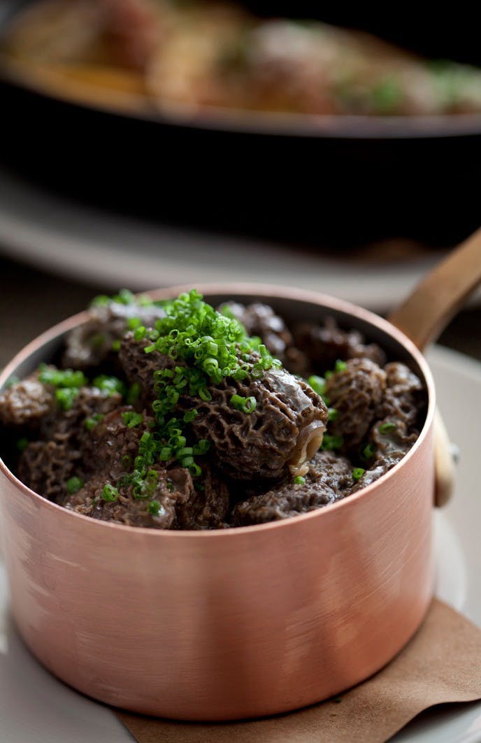 a bowl of morel mushrooms