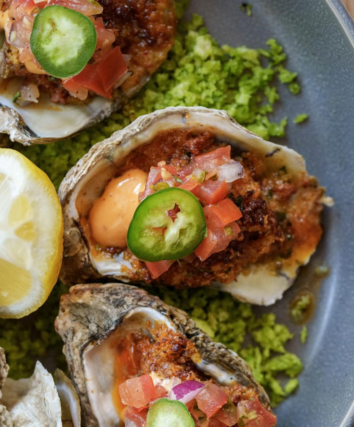 Oyster Day at Saltwater Coastal Grill This August