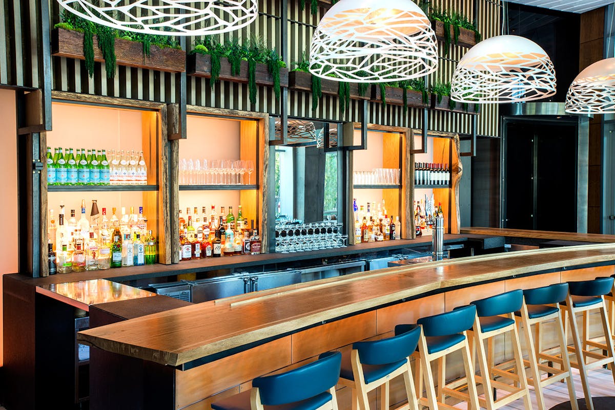 blue bar stools at the bar