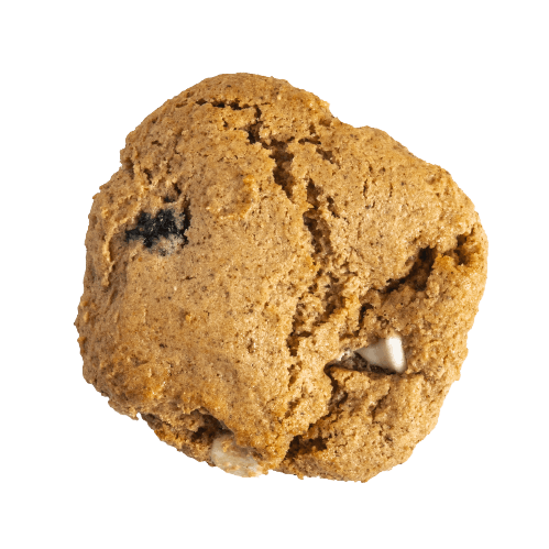 a close up of a rock