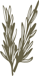 a close up of a logo