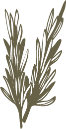 a close up of a logo