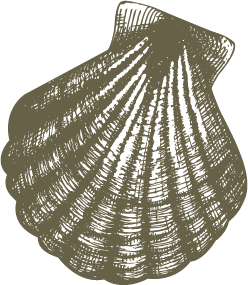 a person standing in the dark