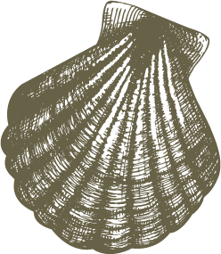 a person standing in the dark