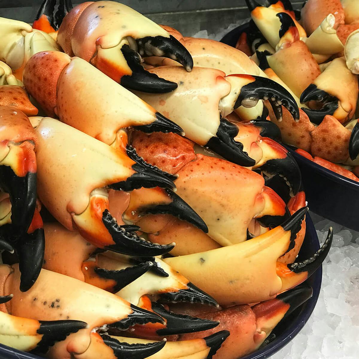 a close up of food