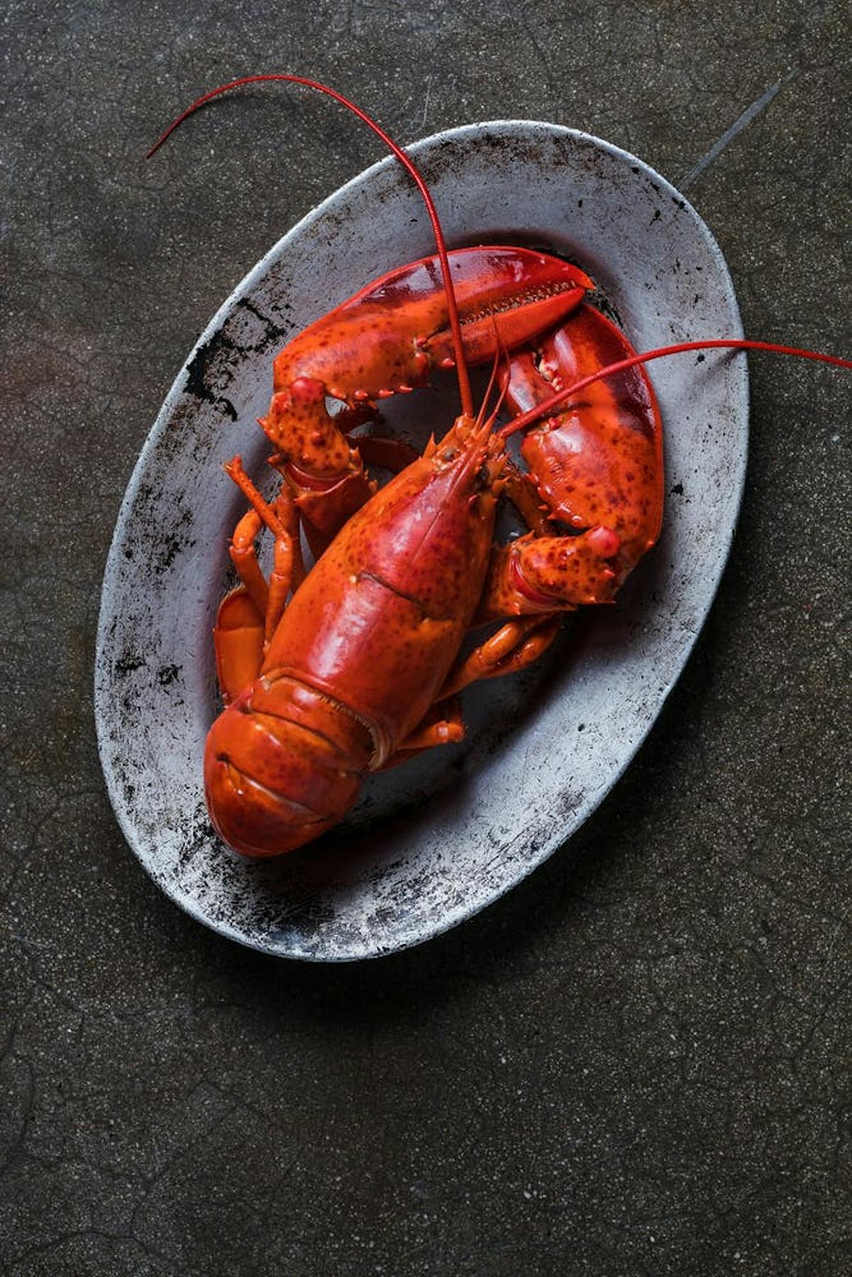 a lobster on a plate