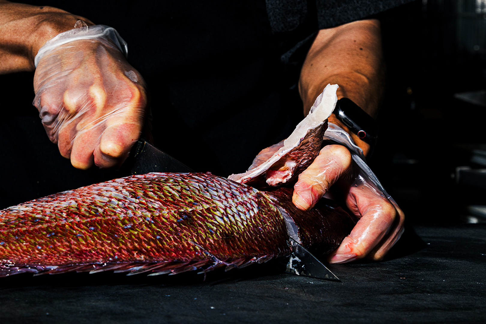 a person cutting food on a table