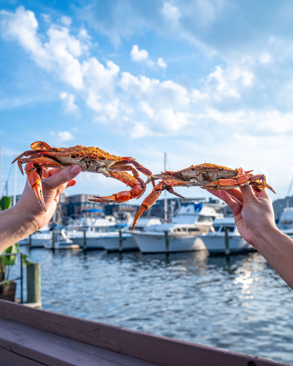 a group of people standing next to a body of water