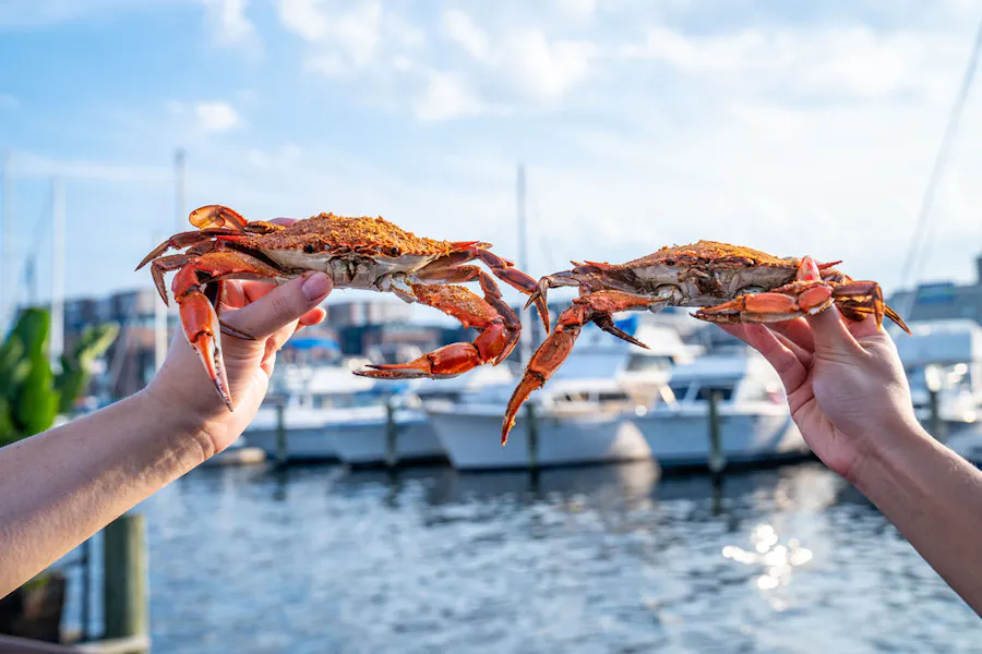 All You Can Eat Crabs | Captain James Landing | Seafood Restaurant in ...