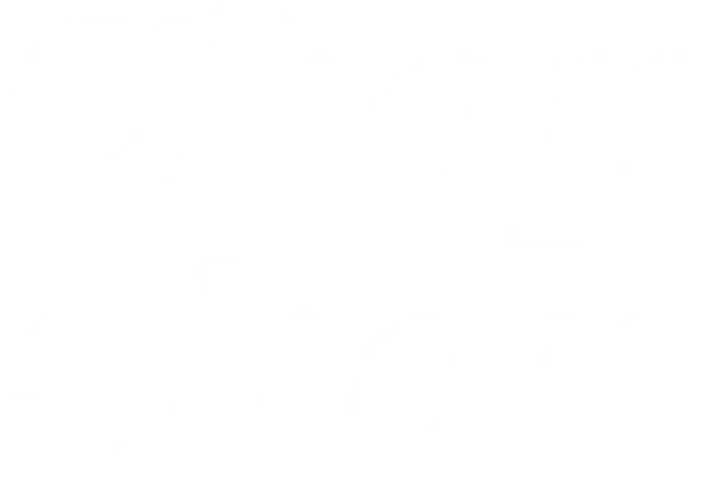 Chop Shop