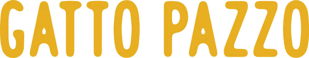 a close up of a plate
