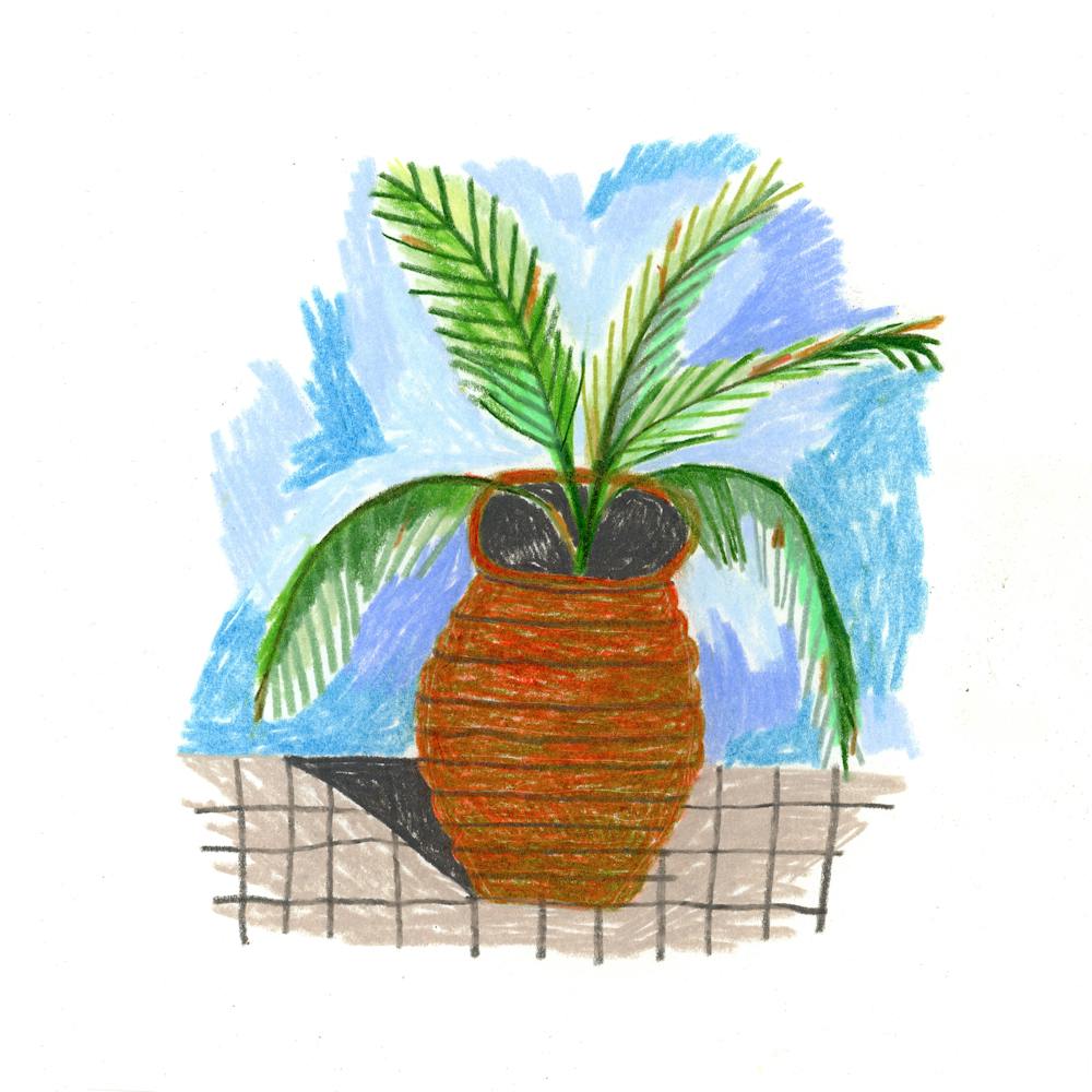 a close up of a tree