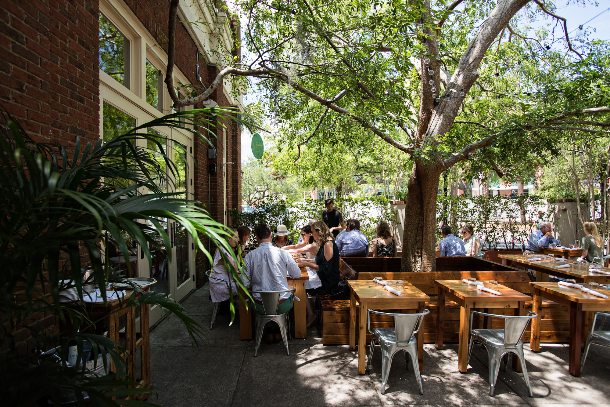 a group of people sitting at a table in front of a tree