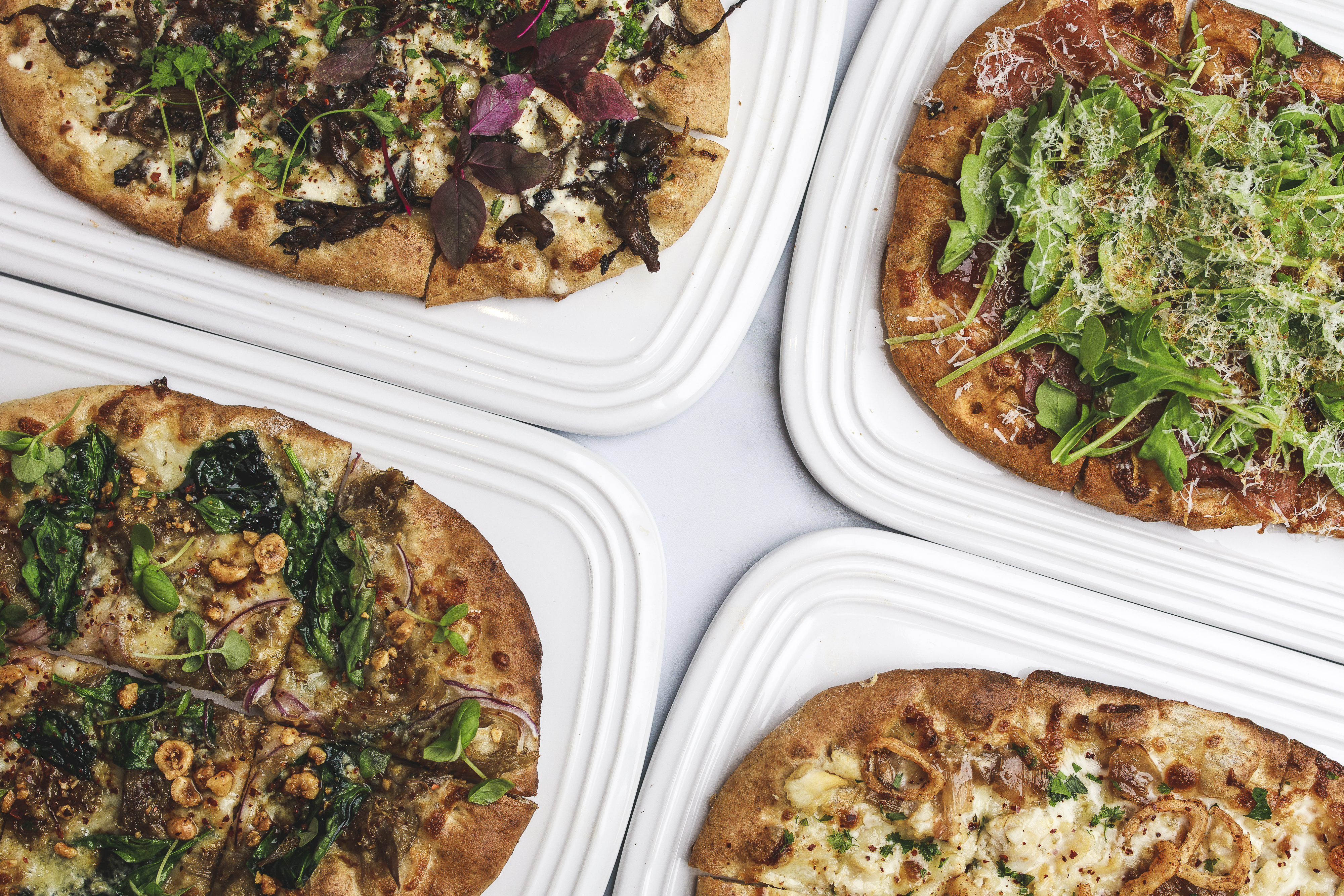 Photo Gallery Coquette in Boston, MA