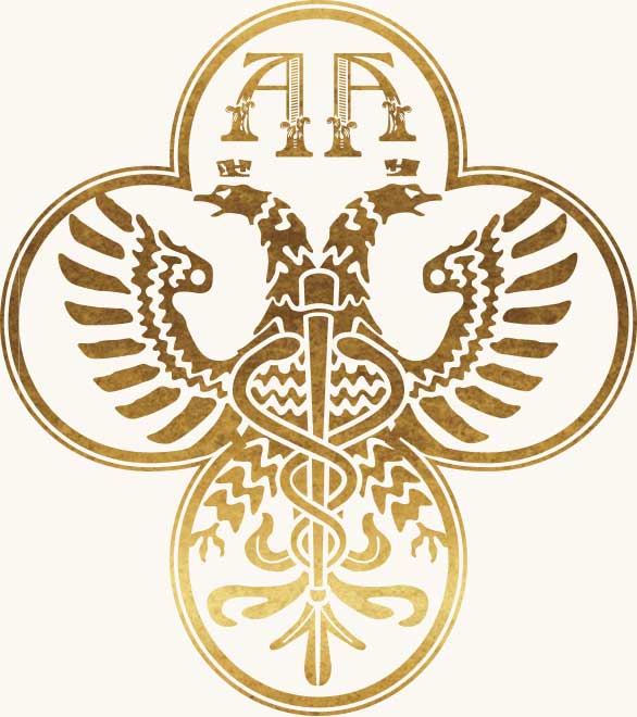 a close up of a logo