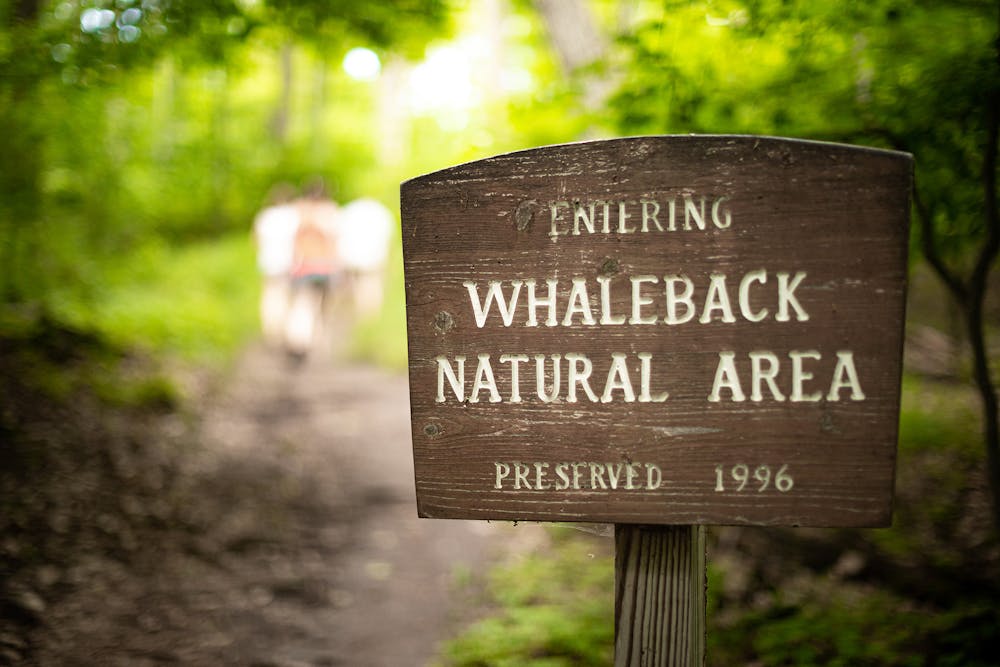 a close up of a sign