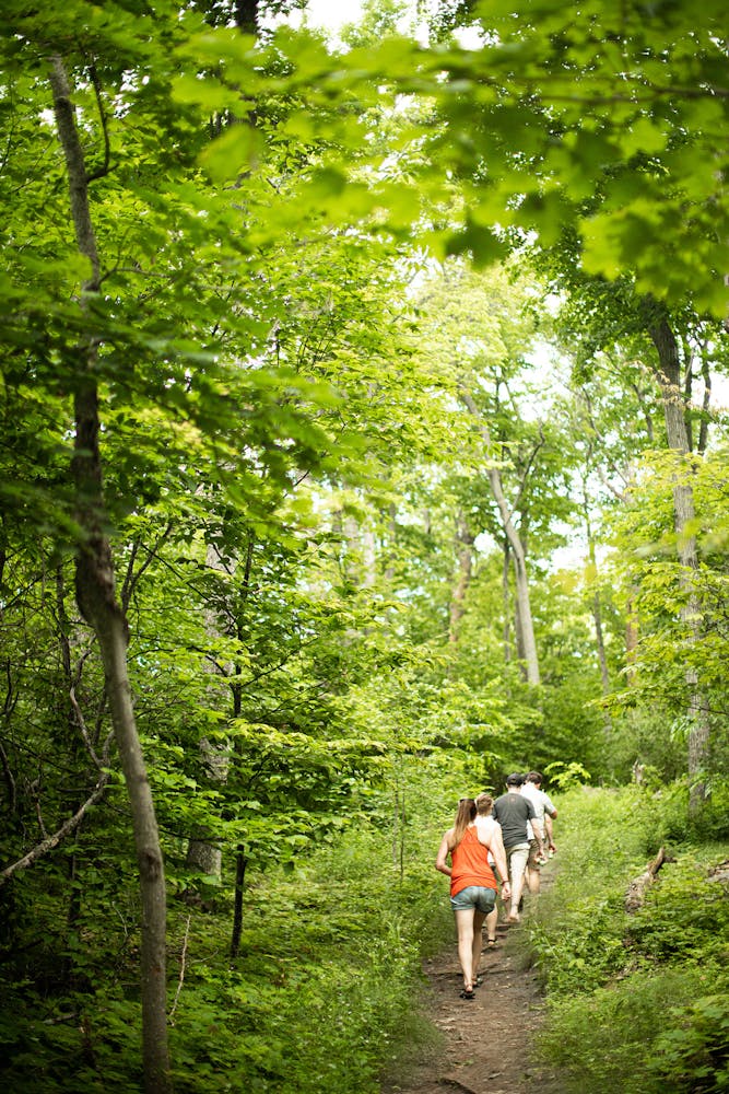 a group of people standing next to a tree