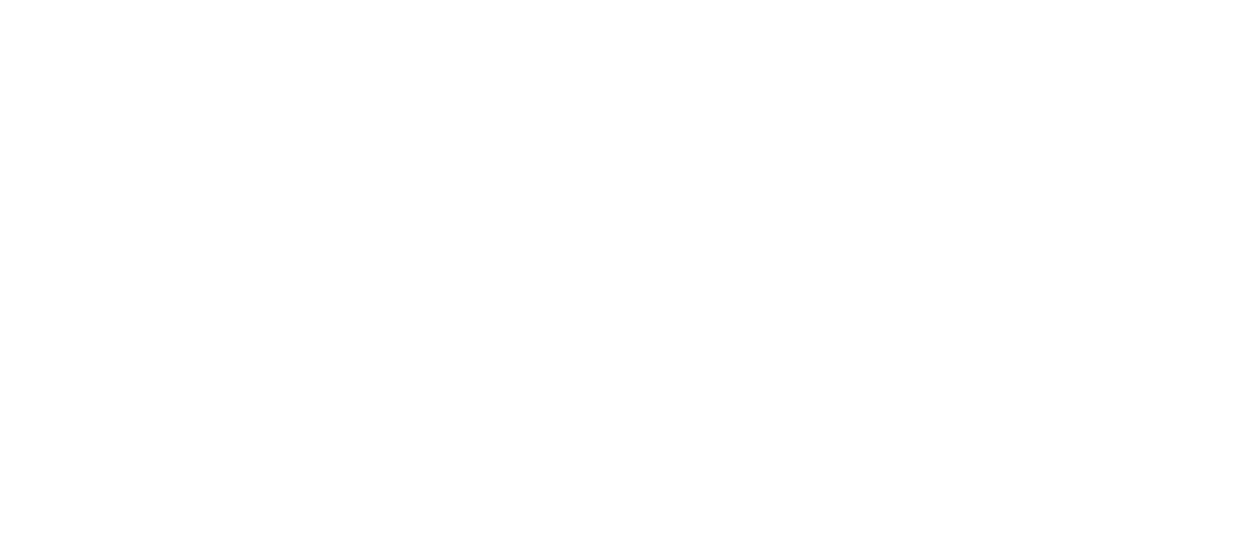 LEESBURG PUBLIC HOUSE