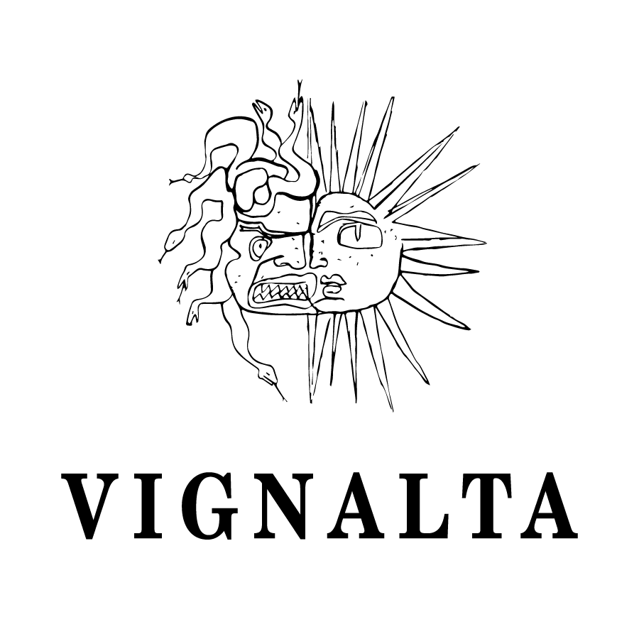 a close up of a logo