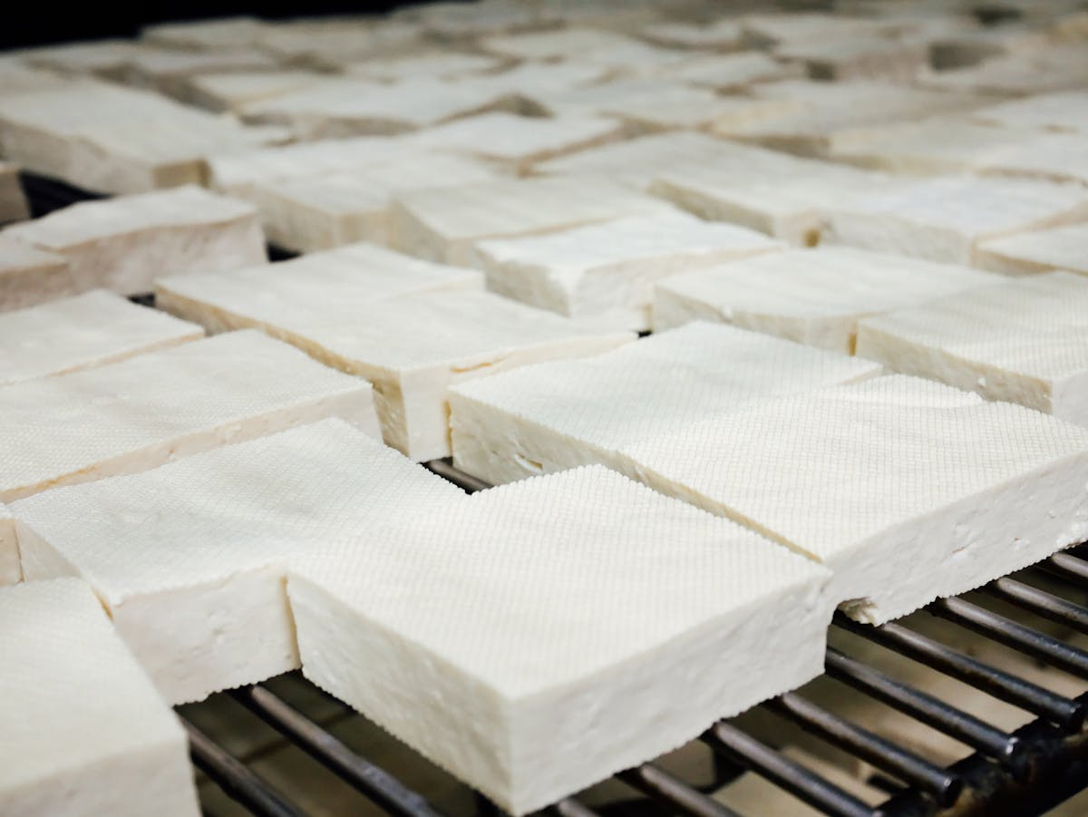 Sensational Soy Phoenix Bean Tofu honeygrow