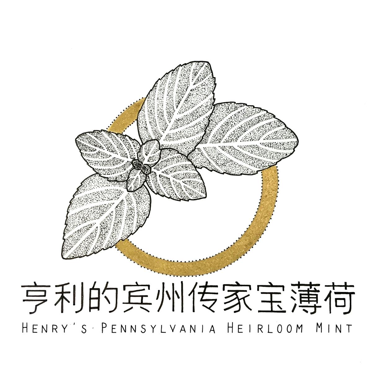 King's co - Henry's Pennsylvania Heirloom Mint