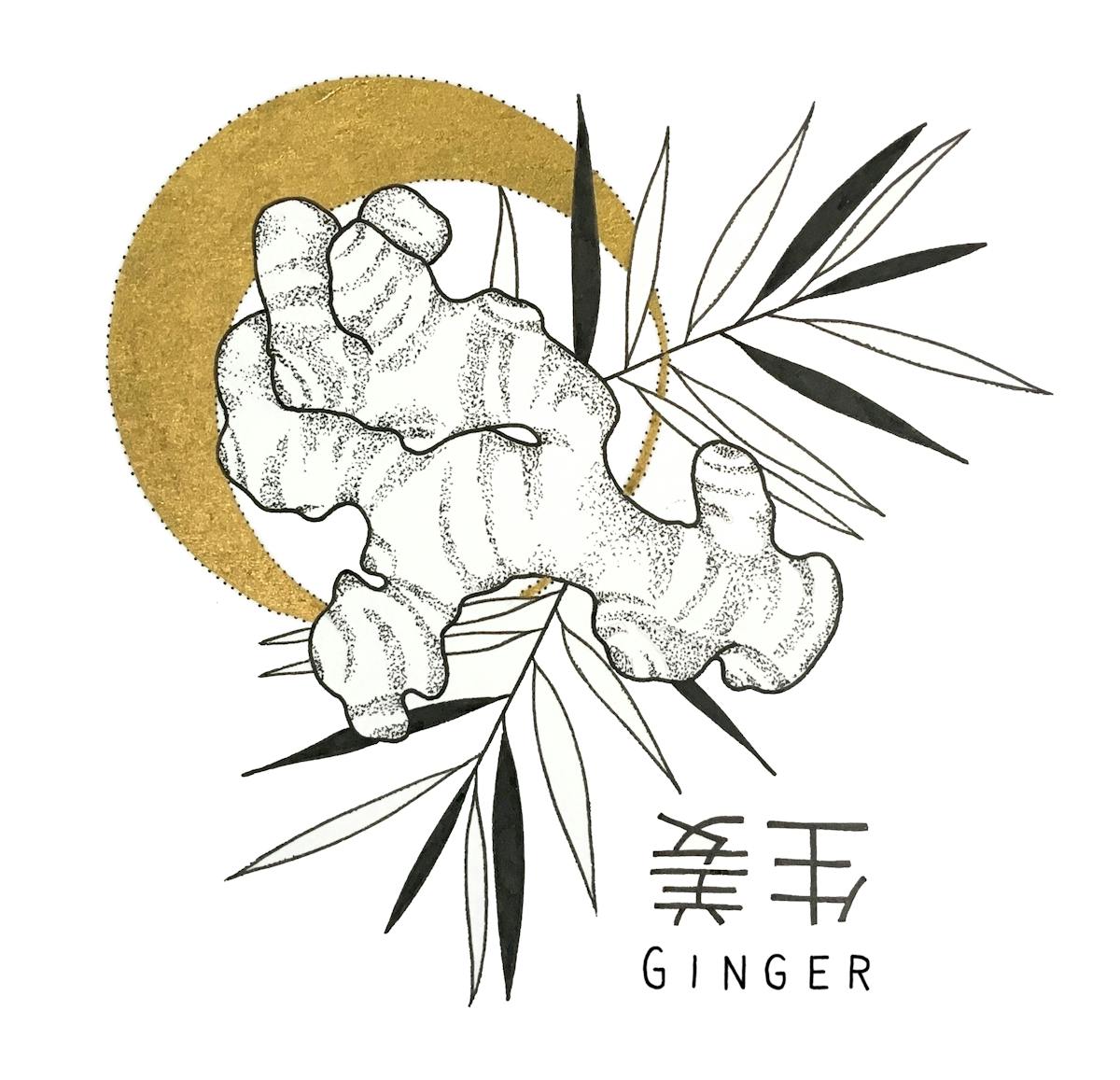 King's co - Ginger