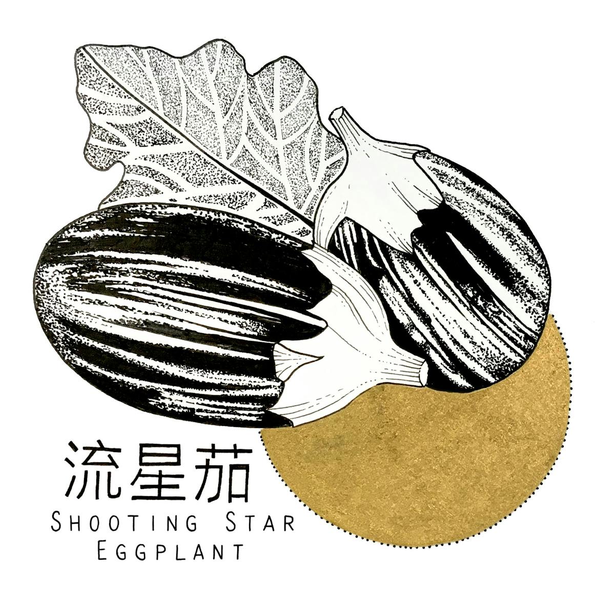 King's co - Shooting Star Eggplant