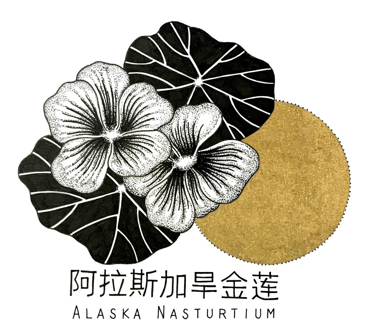 King's co - Alaska Nasturtium