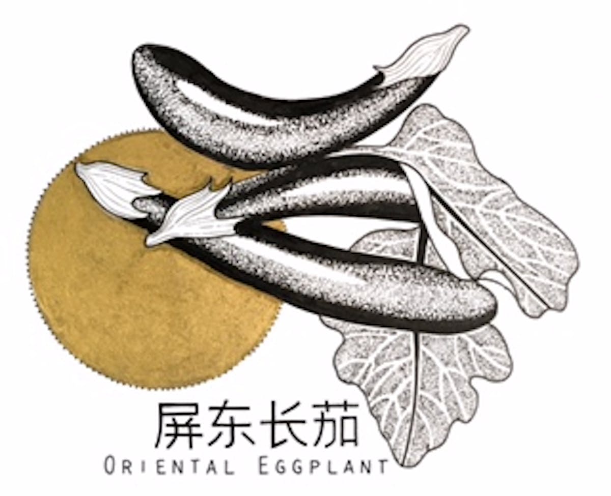 King's co - Oriental Eggplant