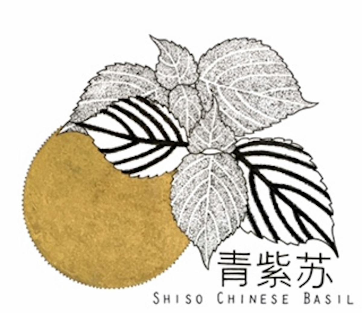 King's co - Shiso Chinese Basil