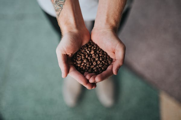 Photo of Matador Coffee