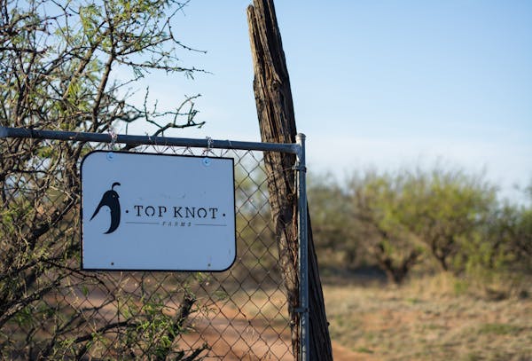 Photo of Top Knot Farms