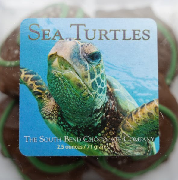 4 pc Sea Salt Turtles South Bend Chocolate Company Candy Store in IN, MI & OH