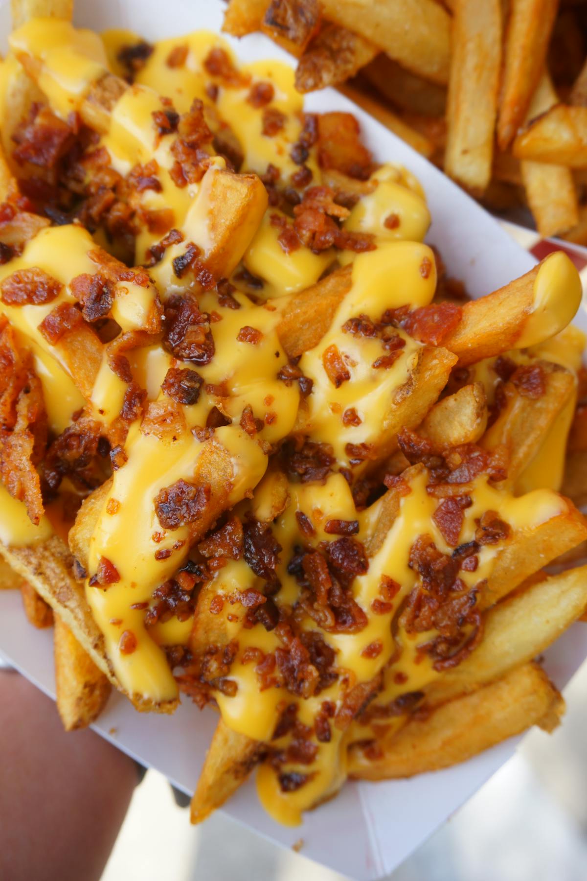 a close up of a hot dog and fries