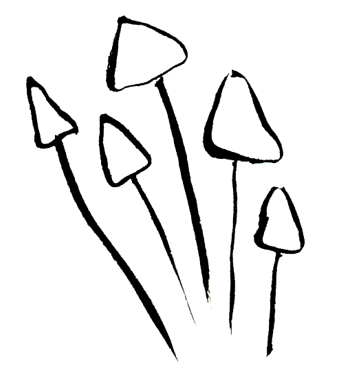 a close up of a logo