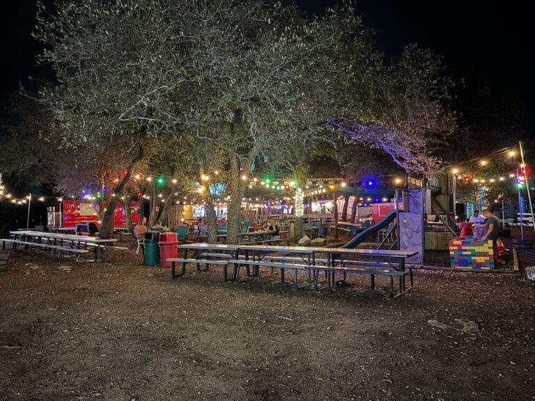 a group of people in a park
