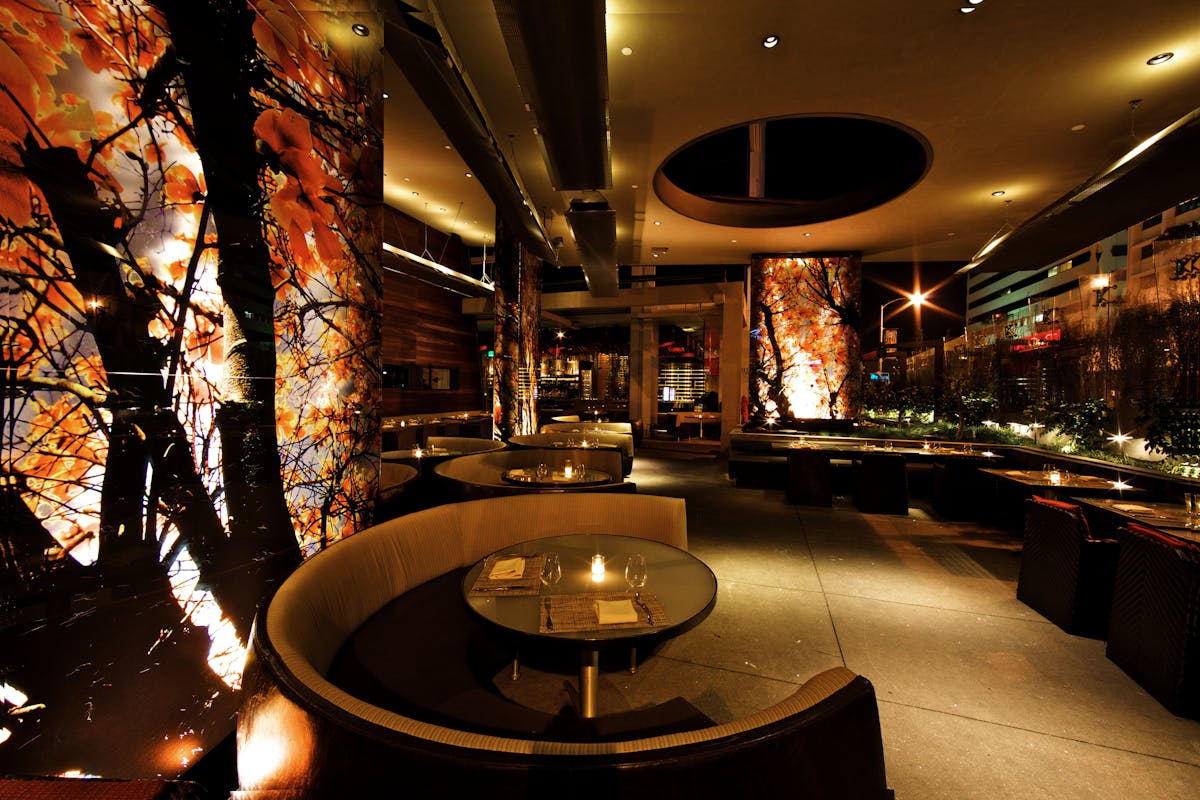 a large tree in a room