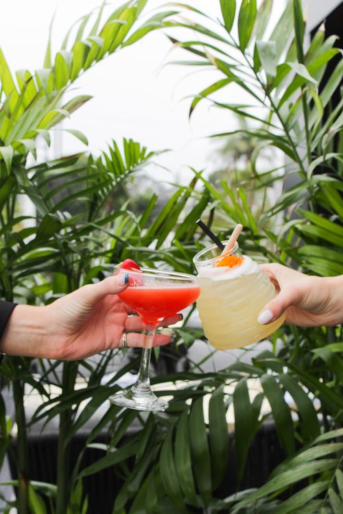 a close up of drinks