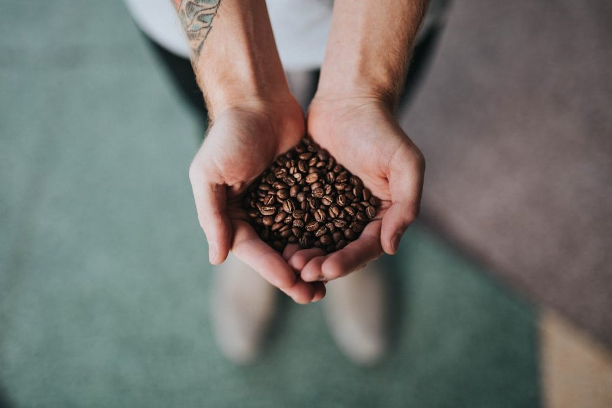 a hand holding coffee