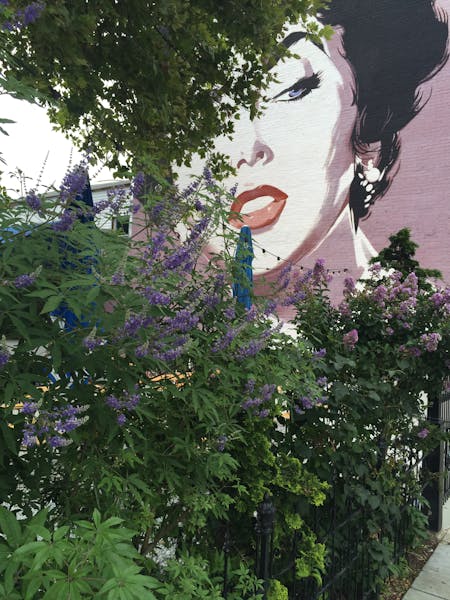 Dacha Beer Garden Shaw, Washington, DC