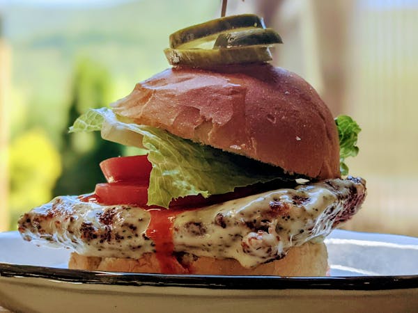 a sandwich cut in half on a plate