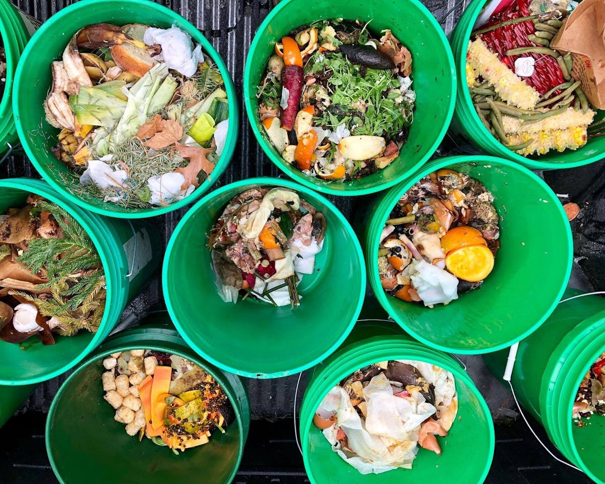 a bowl of salad