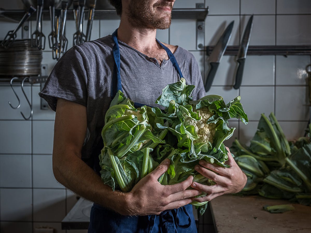 a man holding a plant