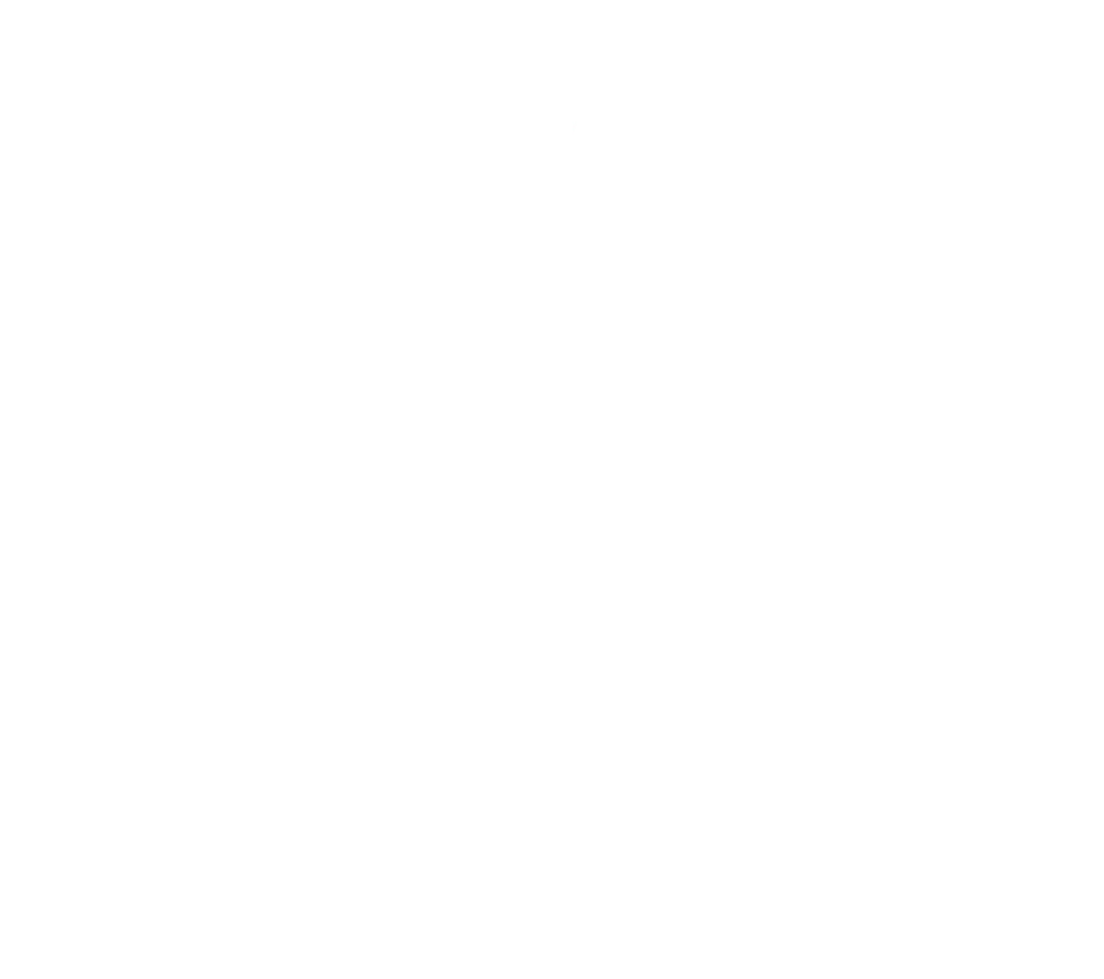 The Salt Line gallery