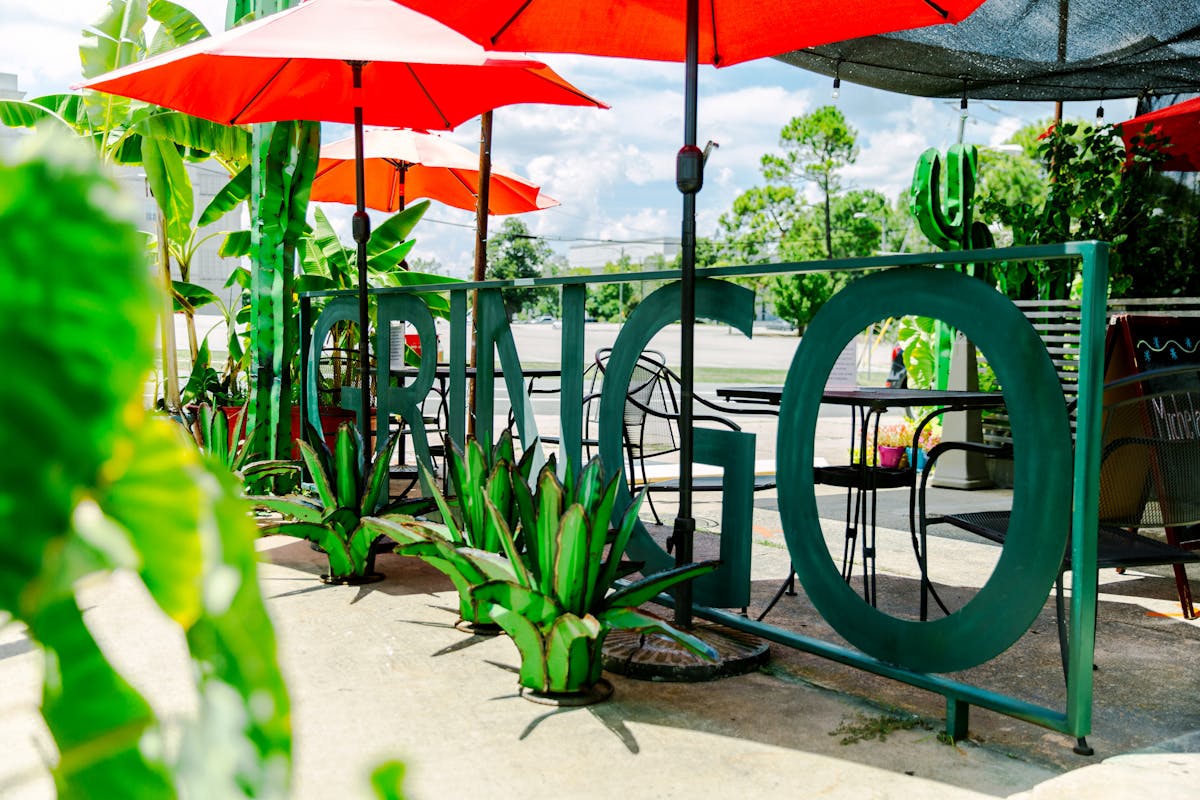 a group of lawn chairs sitting on top of a green umbrella