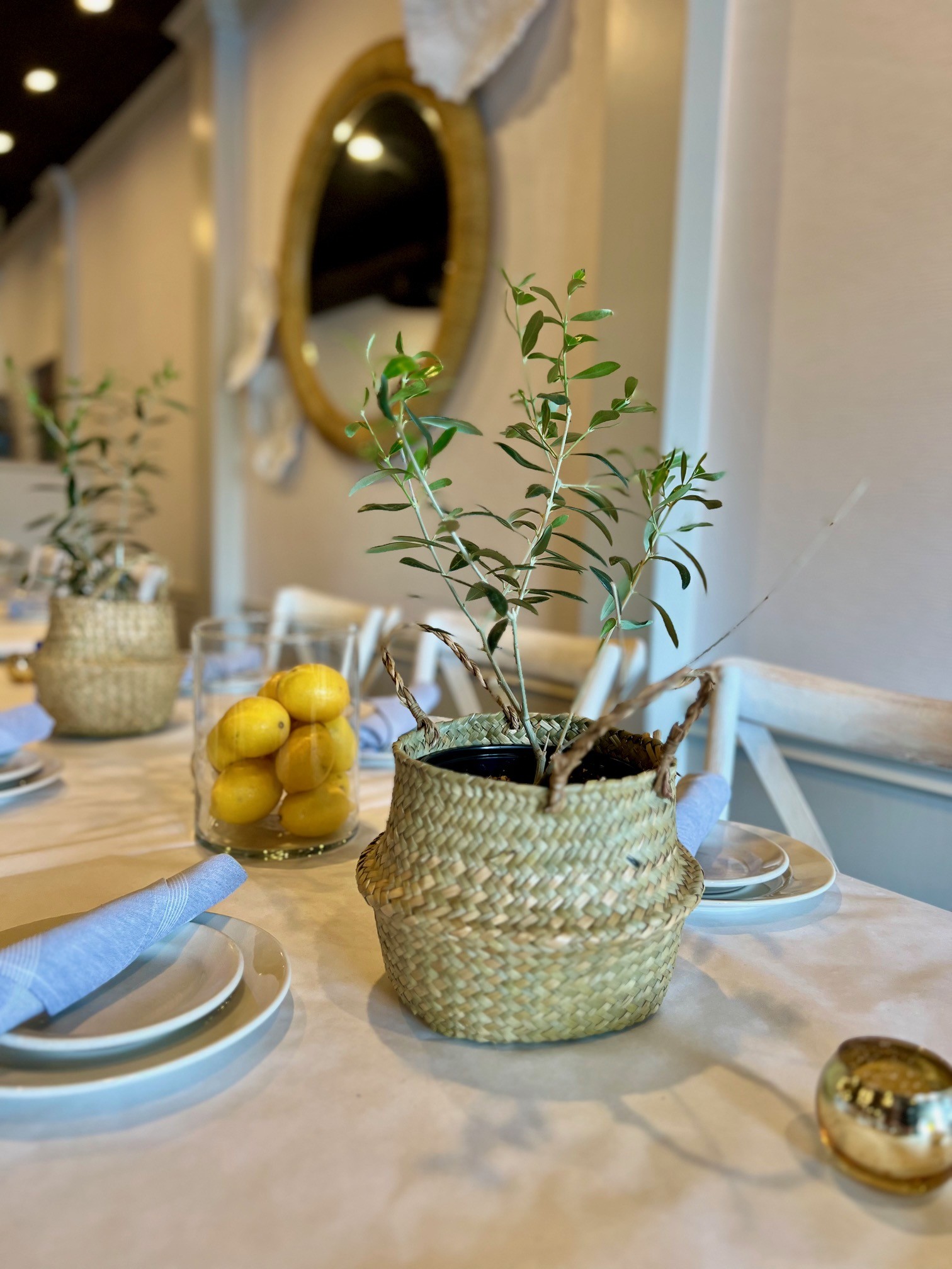 a table with a plant in a basket